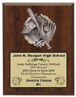 Baseball 7 X 9 Plaque with Resin Mount