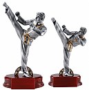 Karate Resin Trophies & Gifts