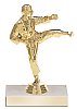 Karate Trophies