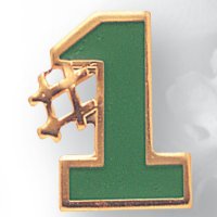 #1 Enameled Chenille Pin - Green