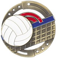 Volleyball Enamel Fill Color Medal