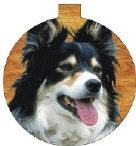 ORNAMENT--BALLpet side 2.jpg (49302 bytes)