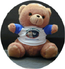Stuffed Animal - Brown Bear.JPG (34856 bytes)