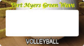 volleyball lp frame.jpg (73710 bytes)