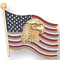 USA Eagle Lapel Pin