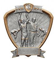 Wrestling Resin Shield Award